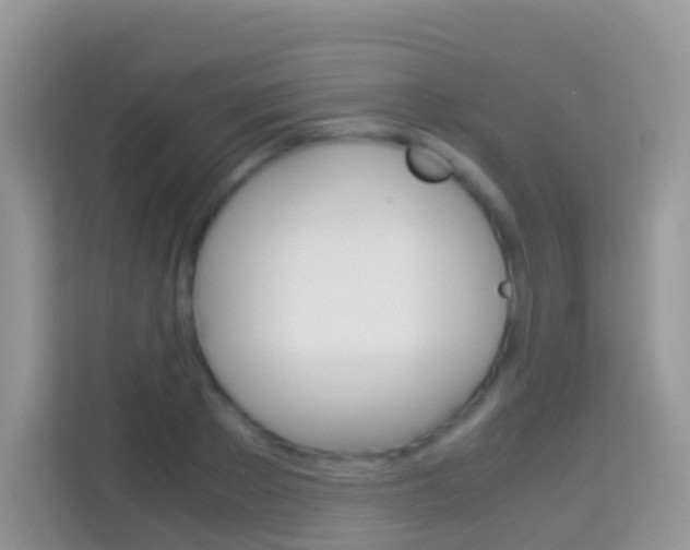 X0000114220889200910091046