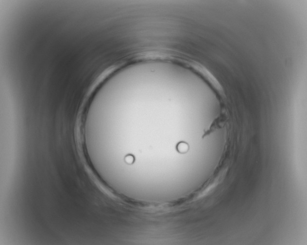X0000114220893200910091046