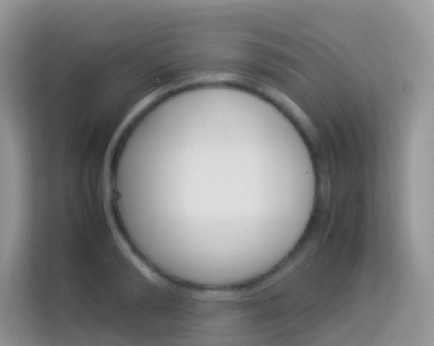 X0000114220894200910091046