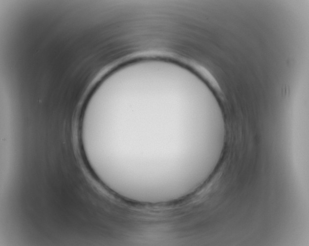 X0000114220895200910091046