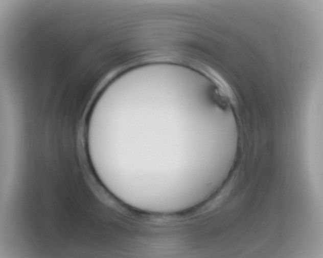 X0000114220899200910091046