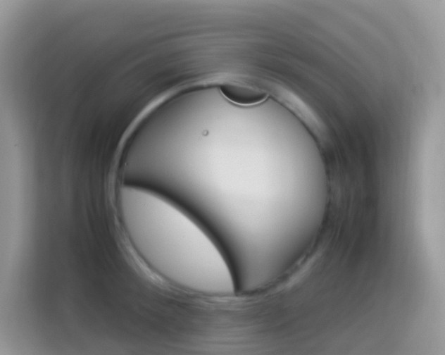 X0000114220900200910091046