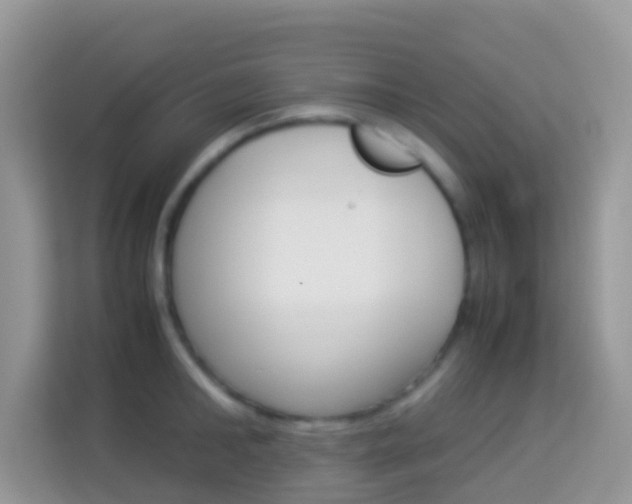X0000114220902200910091046