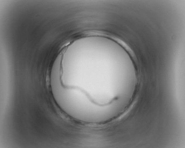 X0000114220905200910091046