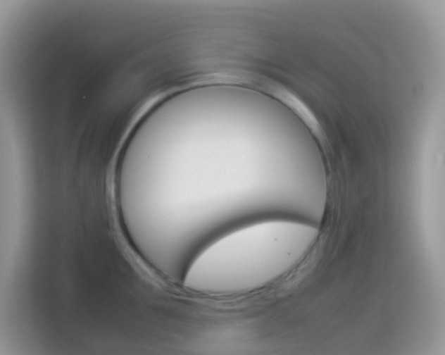 X0000114220907200910091046