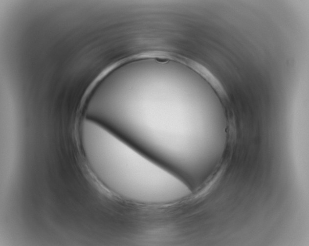 X0000114220908200910091046