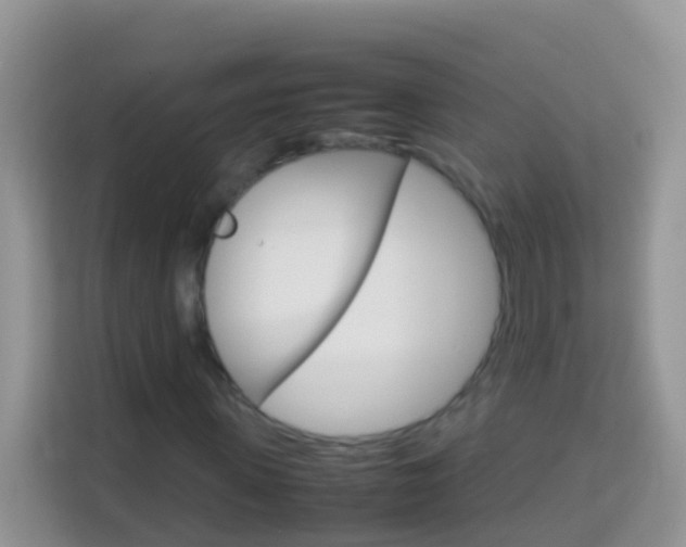 X0000114220915200910091046