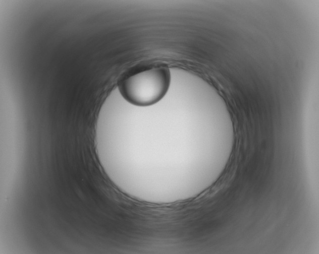 X0000114220916200910091046
