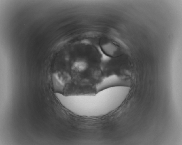 X0000114220917200910091046