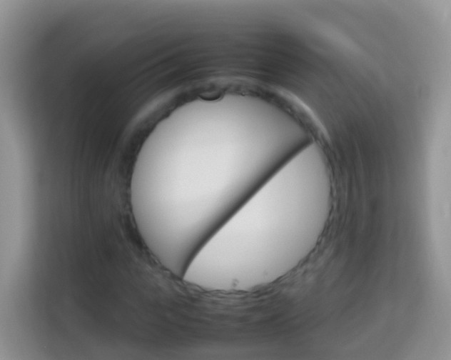 X0000114220919200910091046