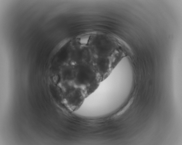 X0000114220921200910091046