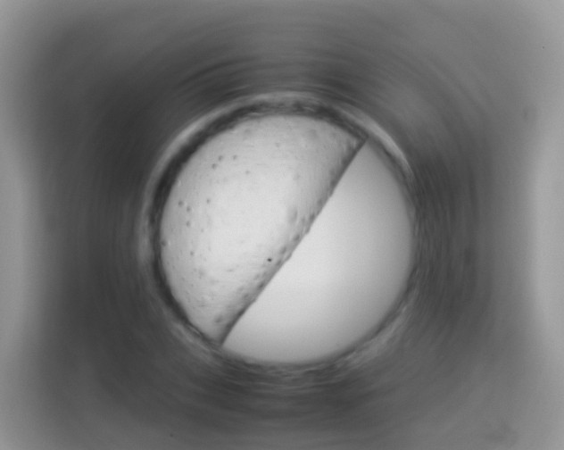 X0000114220927200910091046