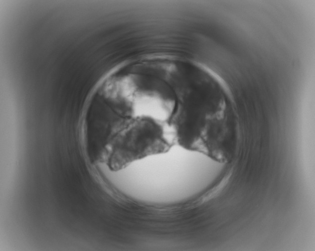 X0000114220933200910091046