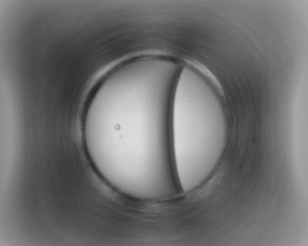 X0000114220935200910091046