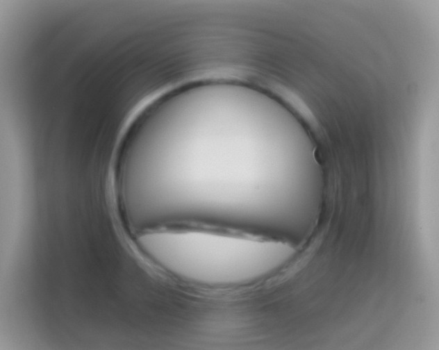 X0000114220936200910091046