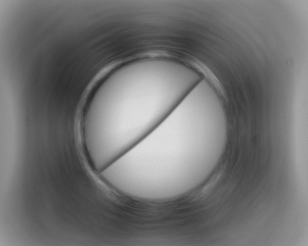 X0000114220939200910091046