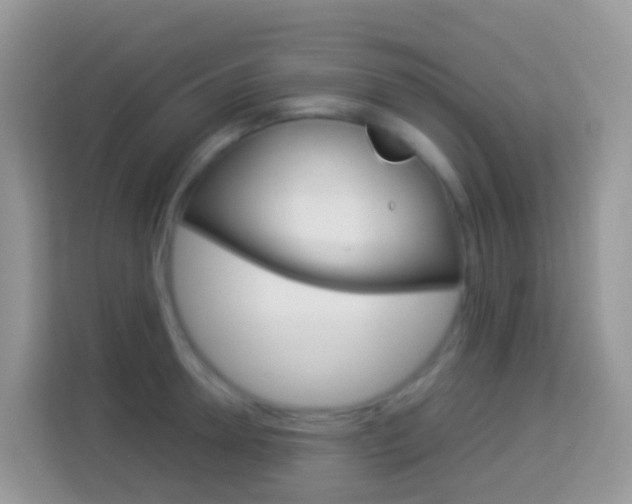 X0000114220946200910091046