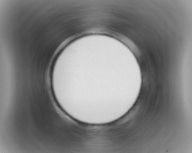 X0000114220950200910091046