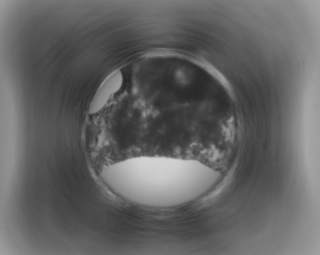 X0000114220953200910091046
