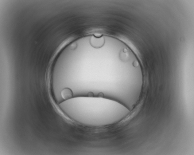 X0000114220957200910091046