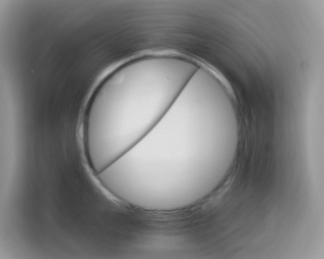 X0000114220959200910091046