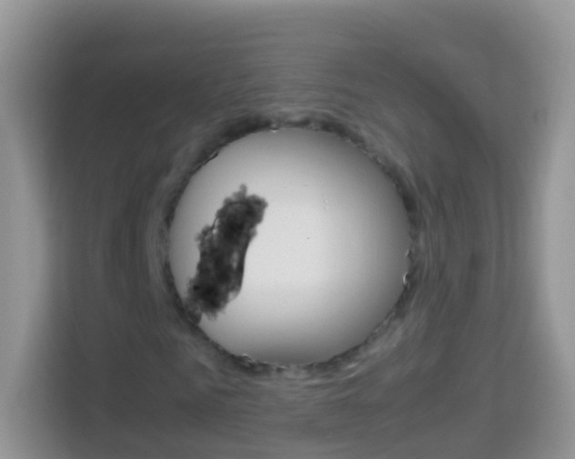 X0000114220961200910091046