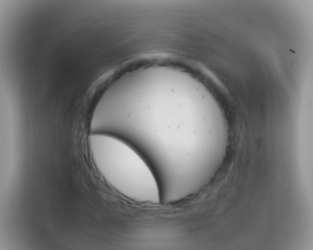 X0000114220967200910091045