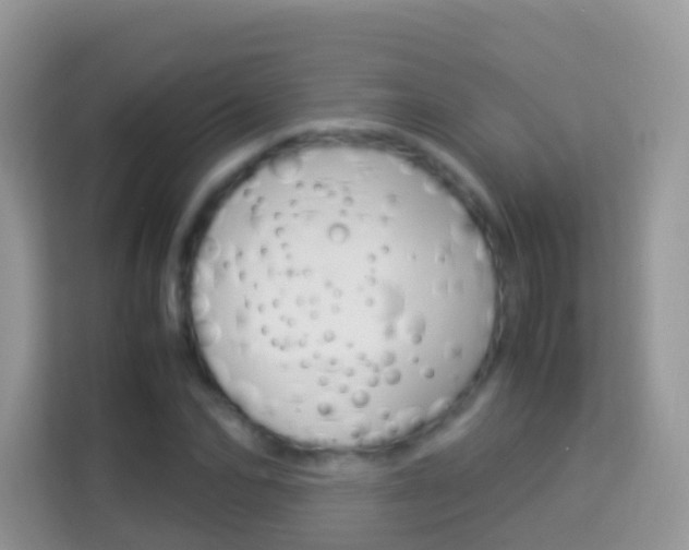 X0000114220974200910091045