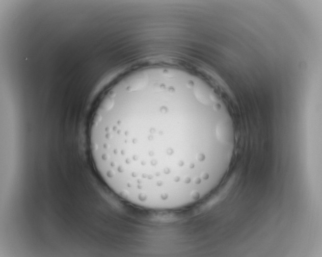 X0000114220978200910091045