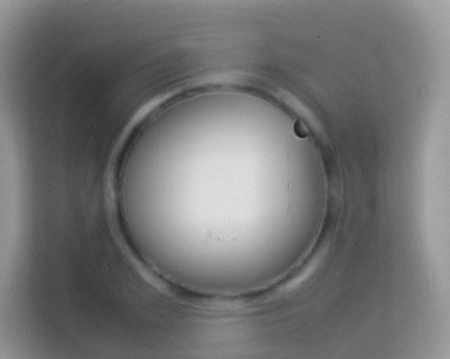 X0000114220981200910091045