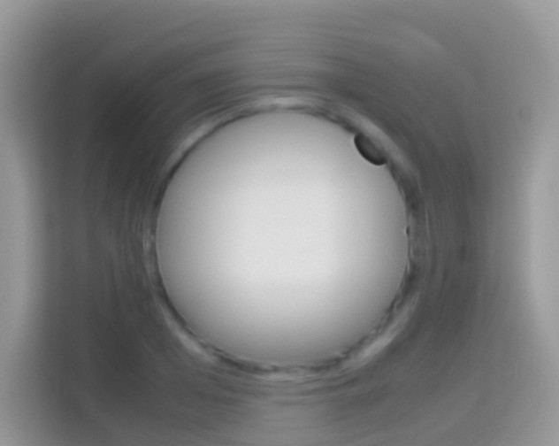 X0000114220985200910091045