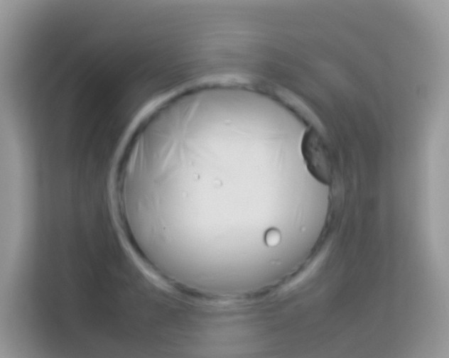 X0000114220989200910091045