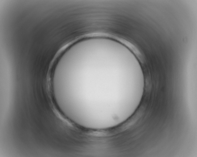 X0000114220998200910091045