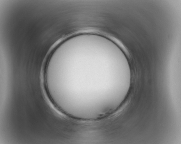 X0000114220999200910091045