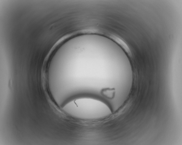 X0000114221000200910091045
