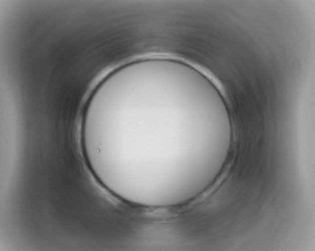 X0000114221006200910091045