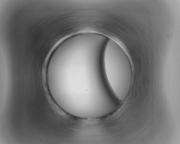 X0000114221008200910091045