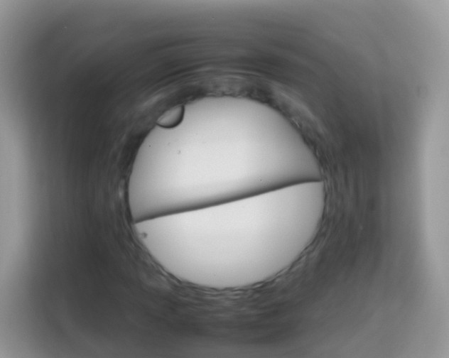 X0000114221013200910091044