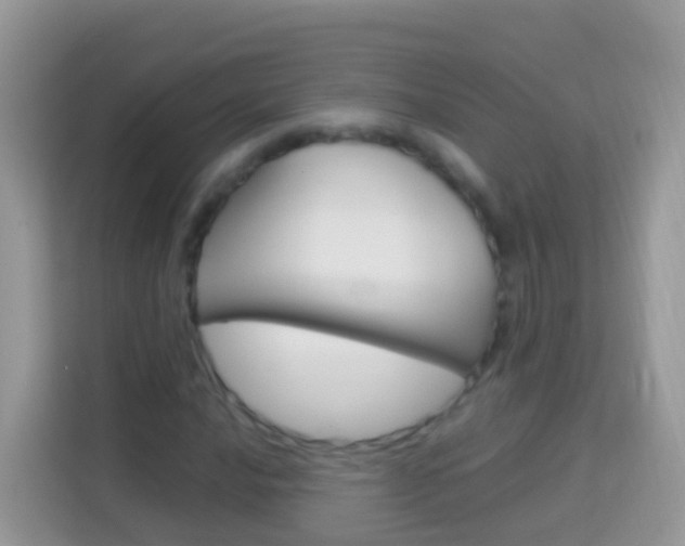 X0000114221016200910091044