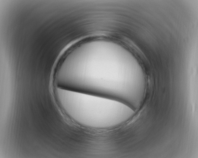 X0000114221020200910091044