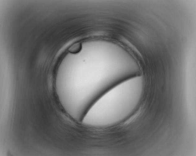 X0000114221021200910091044