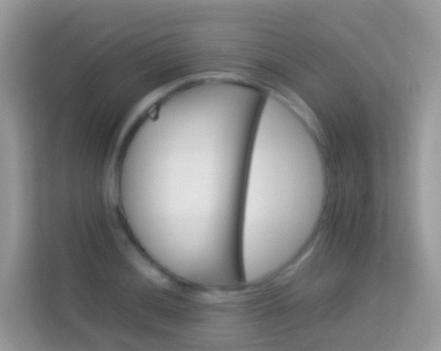 X0000114221036200910091045