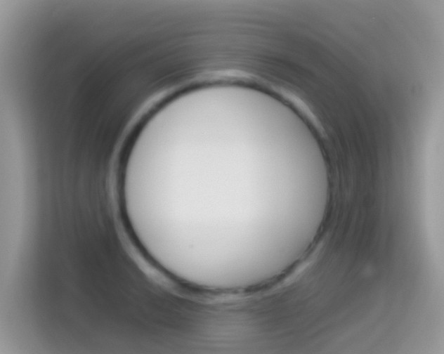 X0000114221038200910091045