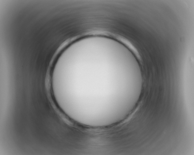 X0000114221040200910091045