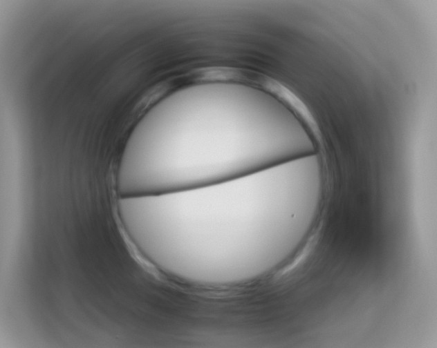X0000114221049200910091045