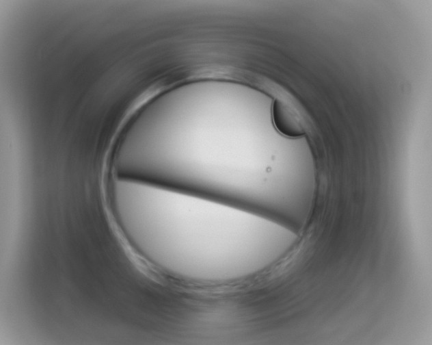 X0000114221050200910091045