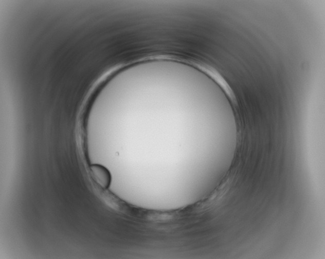 X0000114221051200910091045