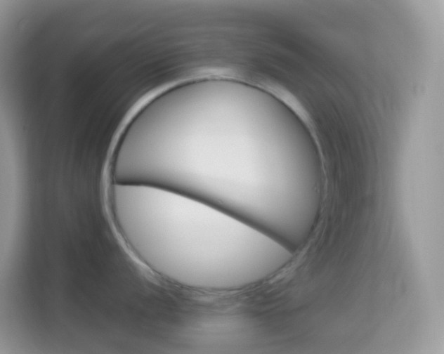 X0000114221056200910091045