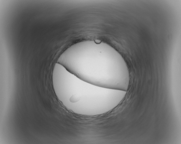 X0000114221057200910091044
