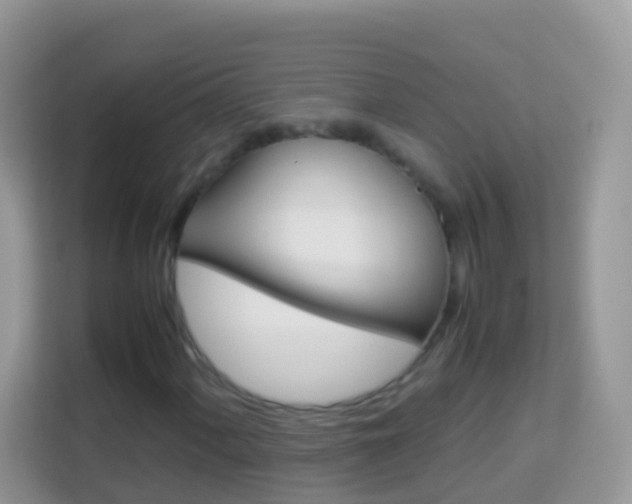 X0000114221060200910091044